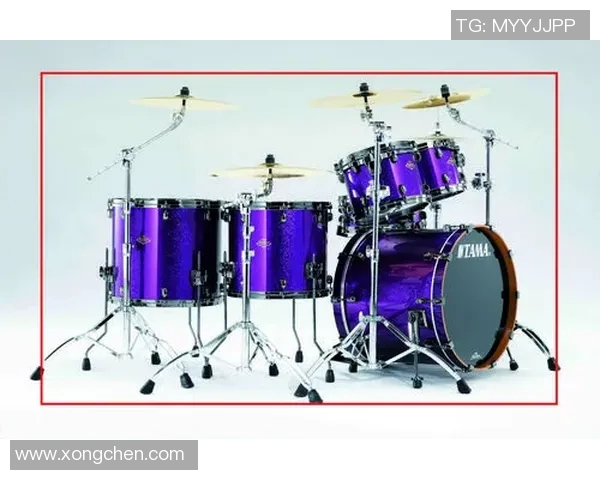 上海排球队防守革新之路探秘与战术解析