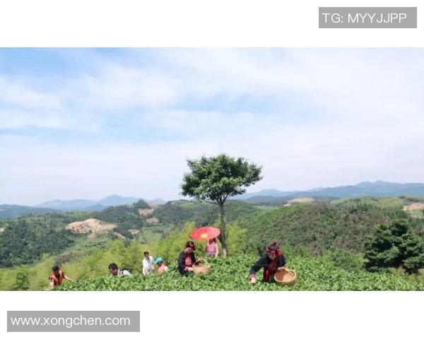 吴磊独家分享足球心得与技巧助你提升球技的秘密解析