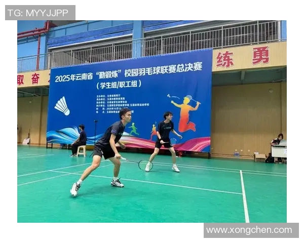 南京羽毛球队阵地战打法深度解析与战术优势剖析