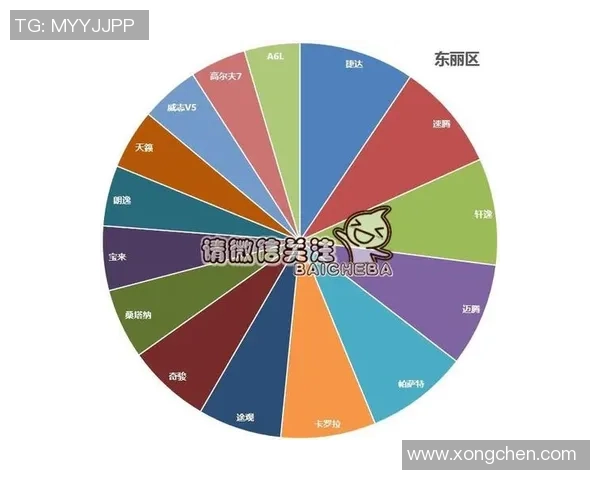 独家分析：重庆羽毛球队的实力对比