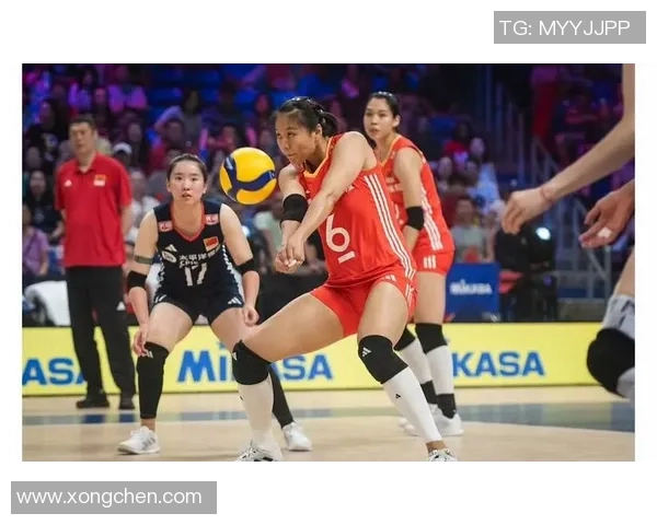 2026排球实力排行榜：深圳排球队位居第2名